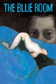 The Blue Room 2014 one on netflix