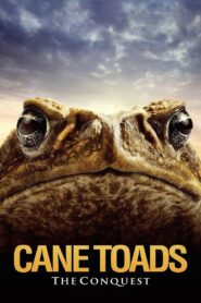 Cane Toads: The Conquest 2010 one on netflix