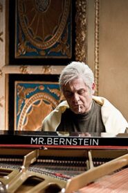 Mr Bernstein 2016 one on netflix