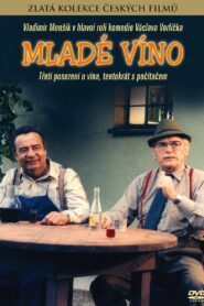 Young Wine 1986 one on netflix