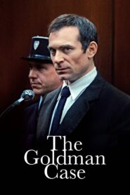 The Goldman Case 2023 one on netflix