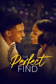 The Perfect Find 2023 one on netflix