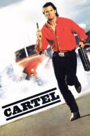 Cartel 1990 one on netflix