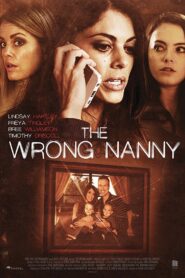 The Wrong Nanny 2017 one on netflix