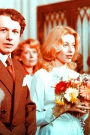 Point of View 1980 one on netflix