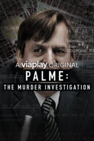 Palme: The Murder Investigation 2018 one on netflix