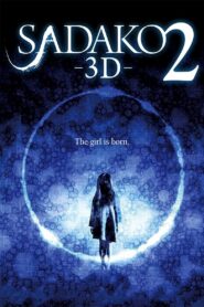 Sadako 3D 2 2013 one on netflix