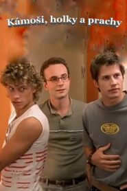 Wilde Jungs 2003 one on netflix