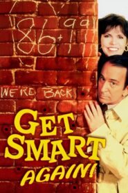Get Smart, Again! 1989 one on netflix