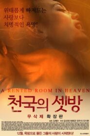 A Rented Room in Heaven 2014 one on netflix