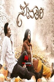 Savaari 2009 one on netflix