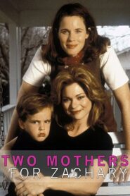 Two Mothers for Zachary 1996 one on netflix