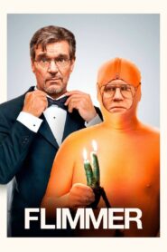 Flicker 2012 one on netflix