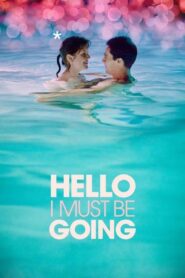 Hello I Must Be Going 2012 one on netflix
