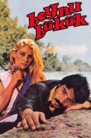 Boynu Bükük 1980 one on netflix