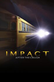 Impact After the Crash 2013 one on netflix