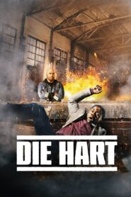 Die Hart 2023 one on netflix