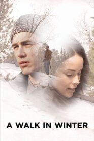 A Walk in Winter 2015 one on netflix