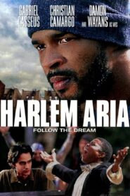 Harlem Aria 1999 one on netflix