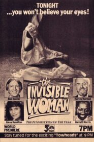 The Invisible Woman 1983 one on netflix