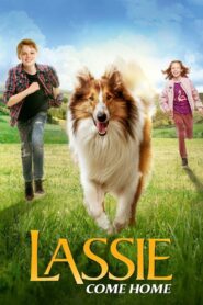 Lassie – Eine abenteuerliche Reise 2020 one on netflix