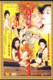 The Karma of Sex 1999 one on netflix