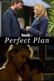 Perfect Plan 2010 one on netflix