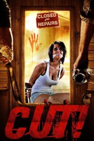 Cut! 2014 one on netflix