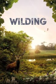 Wilding 2024 one on netflix
