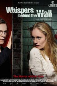 Whispers Behind the Wall 2013 one on netflix