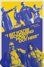 I Bet You’re Wondering How I Got Here 2023 one on netflix