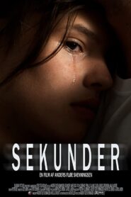 Sekunder 2009 one on netflix