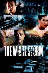The White Storm 2013 one on netflix