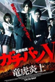 ガチバン V 竜虎炎上 2009 one on netflix