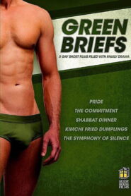 Green Briefs 2013 one on netflix