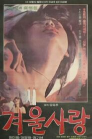 Winter Love 1980 one on netflix