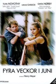 Four Weeks in June 2005 one on netflix