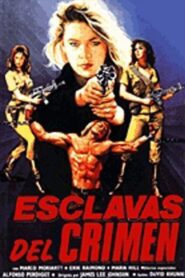 Slave of Crime 1987 one on netflix