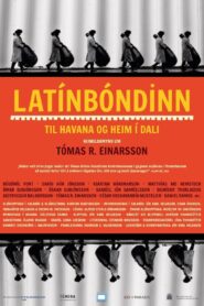 Latin Viking 2015 one on netflix