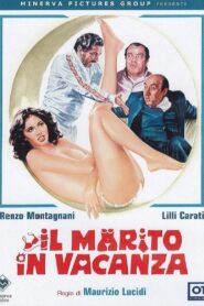 Il marito in vacanza 1981 one on netflix