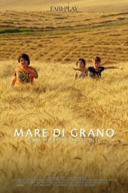 Mare di grano 2018 one on netflix