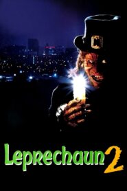 Leprechaun 2 1994 one on netflix