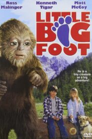 Little Bigfoot 1997 one on netflix
