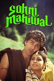 Sohni Mahiwal 1984 one on netflix