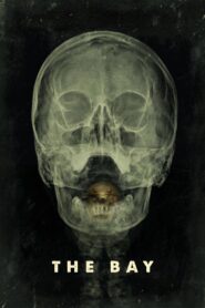 The Bay 2012 one on netflix