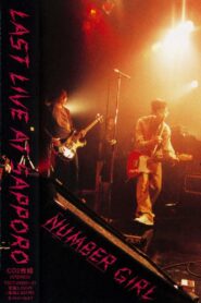 Number Girl: Sapporo Omoide In My Head Joutai 2003 one on netflix