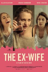 The Ex-Wife 2017 one on netflix