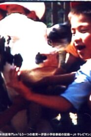 Lessons from a Calf 1991 one on netflix