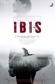 Crested Ibis 2017 one on netflix
