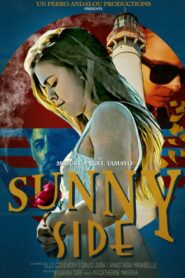 Sunnyside 2021 one on netflix